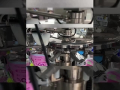 Stazione d'imballaggio sotto vuoto automatica del granello dell'alimento della macchina di ZCHONE 1300kg multi