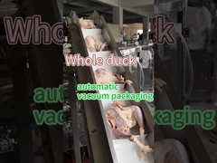 Macchine per l'imballaggio di prodotti alimentari congelati di qualità alimentare in acciaio inossidabile 304/316